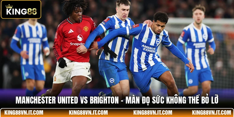 Manchester United Vs Brighton - Màn Đọ Sức Không Thể Bỏ Lỡ